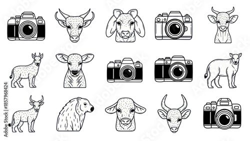 Black and white vector illustration collection of cameras and various animals