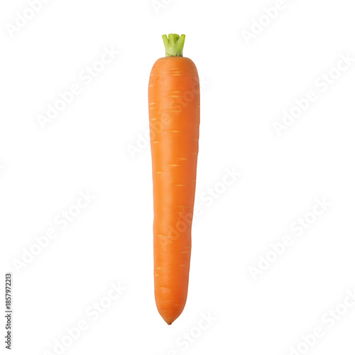 Single fresh carrot with smooth orange surface