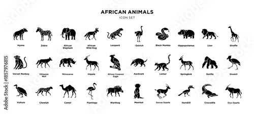 African Animals icon set