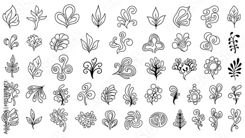 Collection of Hand-Drawn Botanical Elements and Leaf Designs.