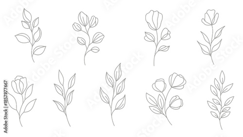 Elegant Botanical Line Art Collection Delicate Floral Illustrations.