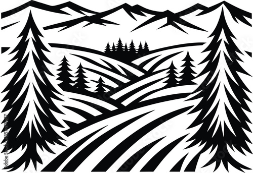 Forest Depth View Natural Landscape