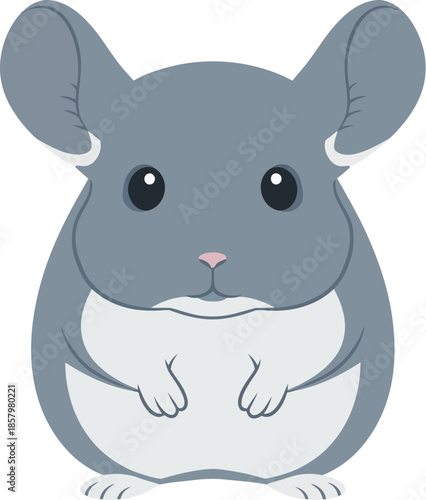 Cute gray and white chinchilla cartoon vector illustration.