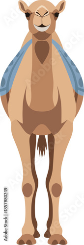 Vector illustration of a dromedary camel standing and facing forward.