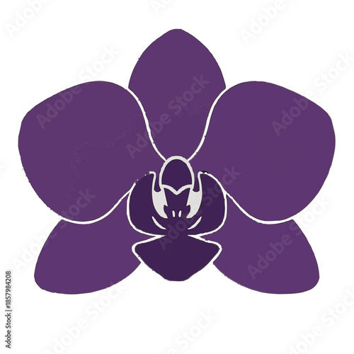 Exotic Orchid Flower Flat Vector Bloom
