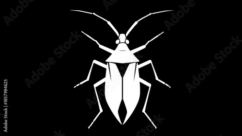 Abstract white insect silhouette isolated on black background, minimalist graphic bug illustration, simple beetle icon design element