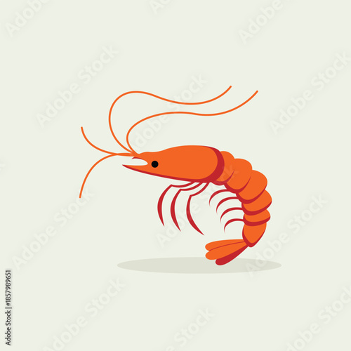 Single orange shrimp vector illustration with shadow, fresh prawn icon isolated on light background for food design