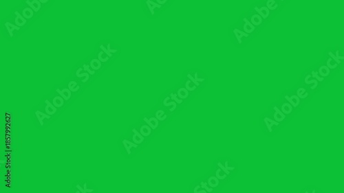 Red cross mark animation on green screen background. Wrong, Error. Failed icon animation, Warning, error, cancel, deny concept