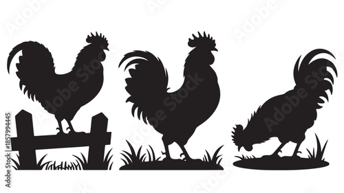 Rooster Silhouettes Rustic Farm Animal Graphic Black and White Vector Illustration for Farm Logos and Country Designs