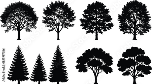Tree silhouette collection set, deciduous and conifer forest trees isolated on white background, nature landscape black vector illustration pack