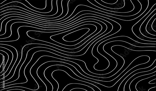 Black and White Topographic Map with Elevation Contour Lines. High-Detail Vector Illustration for Cartography and Design Use.