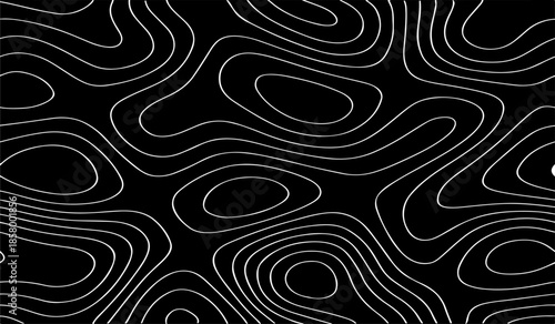 Black and White Topographic Map with Elevation Contour Lines. High-Detail Vector Illustration for Cartography and Design Use.