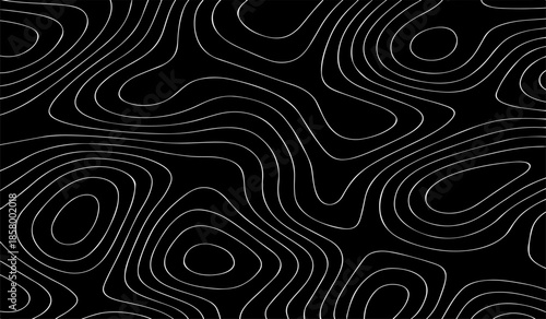 Black and White Topographic Map with Elevation Contour Lines. High-Detail Vector Illustration for Cartography and Design Use.