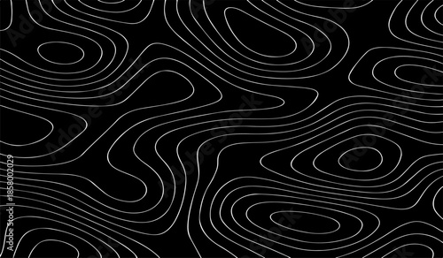 Black and White Topographic Map with Elevation Contour Lines. High-Detail Vector Illustration for Cartography and Design Use.