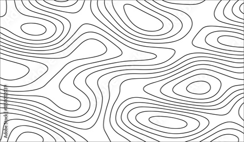 Black and White Topographic Map with Elevation Contour Lines. High-Detail Vector Illustration for Cartography and Design Use.