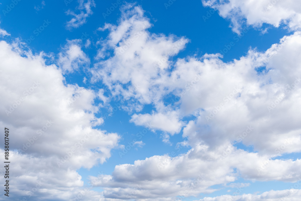 Fototapeta premium 冬の朝の青空と白いふわふわの雲42