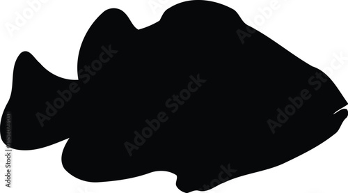 Silhouette of a Fish for Creative Designs and Illustrations