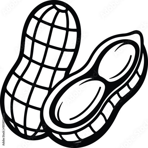 Peanut Vector Illustration with Shell and Half Peanut Black Outline. Black and white vector illustration of peanuts showing a whole peanut in shell and a half peanut with seeds inside.