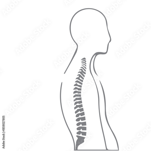 Human Spine Posture Profile
