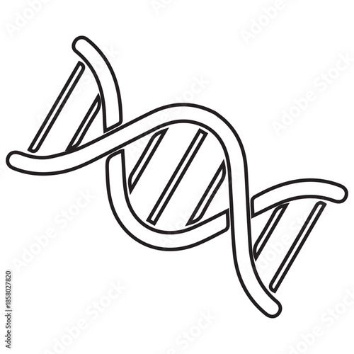 DNA Double Helix