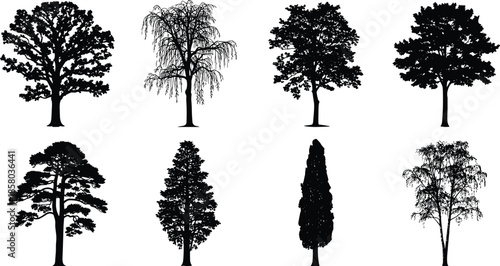 Tree silhouette collection, botanical illustration, forest elements, nature design, diverse tree shapes, landscape vector, foliage pattern, coniferous and broadleaf trees, black tree icons