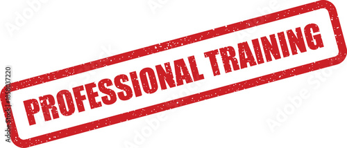 Grunge textured rectangular stamp highlights an important message about professional training and skill development