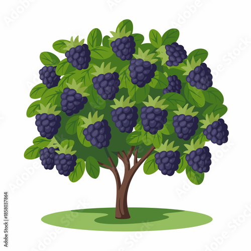 A vibrant illustration depicts a fruitful blackberry tree, full of ripe berries among lush green leaves, symbolizing nature's bounty and the joy of cultivation.