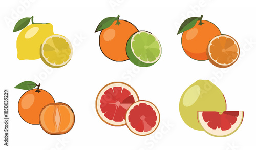 Colorful citrus fruits lemon orange lime grapefruit flat vector set