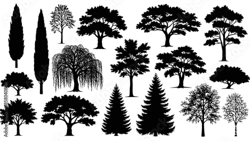 Collection of Silhouetted Trees in Various Shapes and Sizes, Illustrating Diverse Flora.