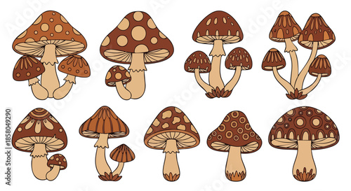 A whimsical collection of various mushroom illustrations with varied cap patterns and stem formations presented against a clean white background for