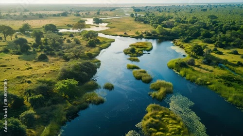 Aerial view showcases a winding river through vibrant green wetlands and lush forests