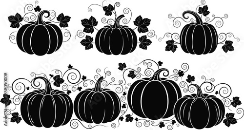 Pumpkin vector illustration set, autumn harvest vegetable silhouettes with curly vines and leaves, halloween decorative elements, thanksgiving seasonal organic squash icons, isolated.