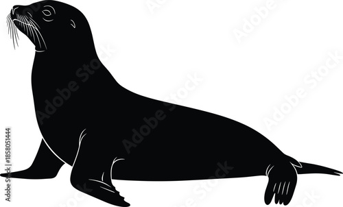 Sea lion seal silhouette vector illustration, marine animal with detailed whiskers and flippers isolated on white background for ocean and wildlife design,