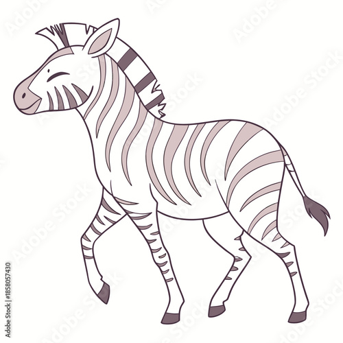 zebra isolated on white