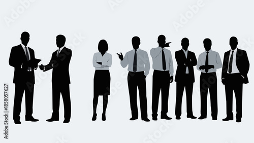 Diverse group of business professionals standing together in silhouette.