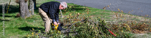 Εκτύπωση καμβά Senior caucasian man on lawn with a chainsaw cutting damaged birch branches on f