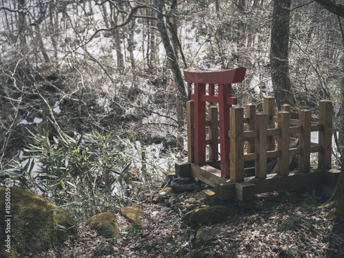 冬の木々と鳥居