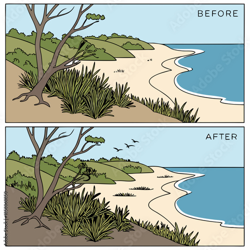 Coastal Vegetation Before and After Restoration Illustration