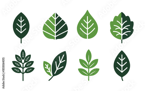 Vector art of collection of various green leaf shapes and types