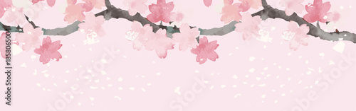 Watercolor Cherry Blossom Branch with Falling Petals. Japanese Style Spring Banner Background