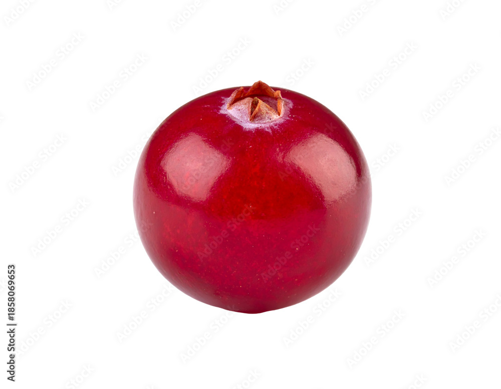 Obraz premium A single ripe red cranberry isolated on a white background.