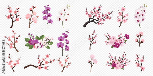Beautiful collection of cherry blossom and orchid branches with delicate flowers and buds, perfect for spring designs.