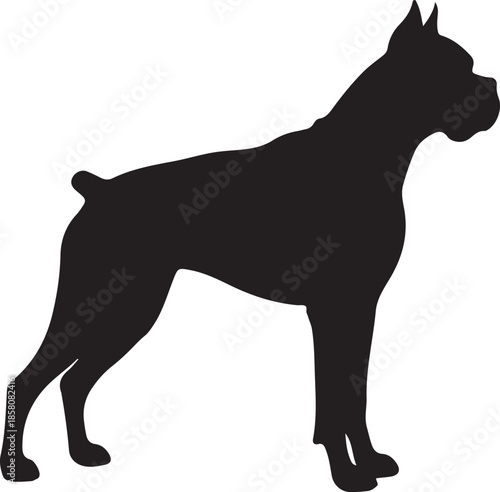 Boxer Dog Silhouette on White Background