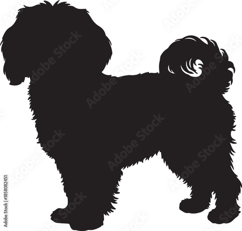Maltese Dog Silhouette on White Background