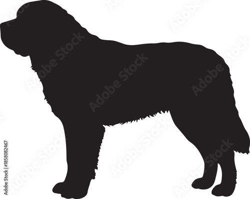 Shiba Inu Dog Silhouette on White Background