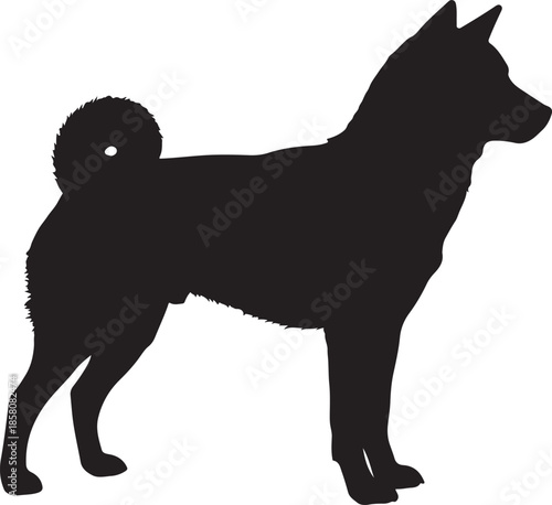 Shiba Inu Dog Silhouette on White Background