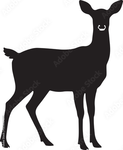 Female deer (doe) black silhouette standing isolated on white background