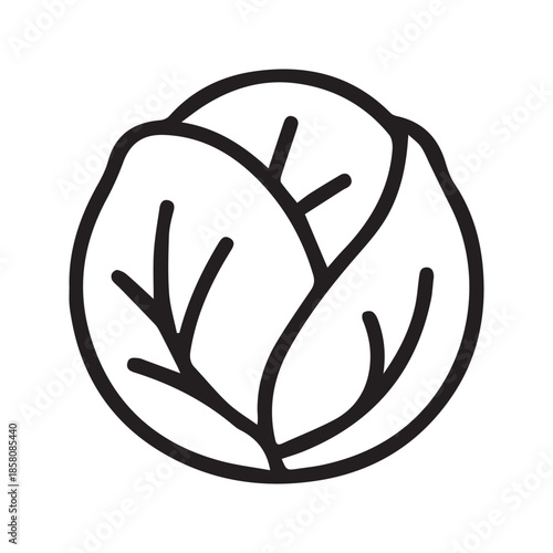 Cabbage Line Icon – Fresh Leafy Vegetable Outline Illustration
