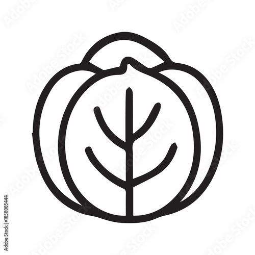 Cabbage Line Icon – Fresh Leafy Vegetable Outline Illustration