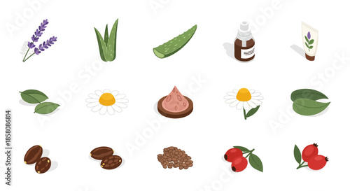Isometric icons of natural cosmetic ingredients like lavender, aloe vera, chamomile, and rose hips.
